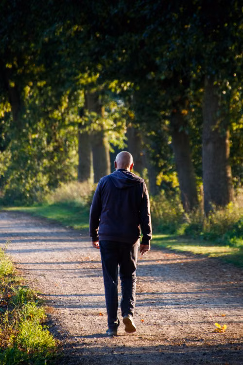Person walking outdoors along sunny forest pathway